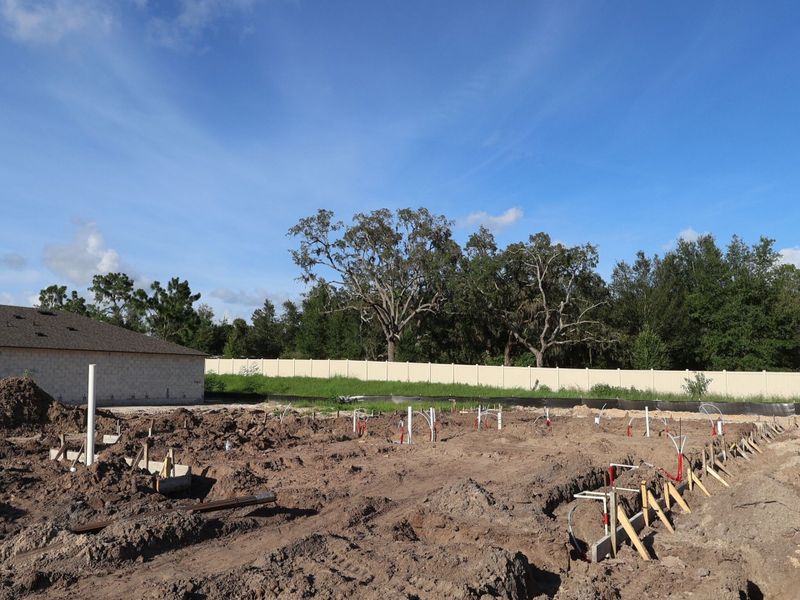 Homesite Homesite