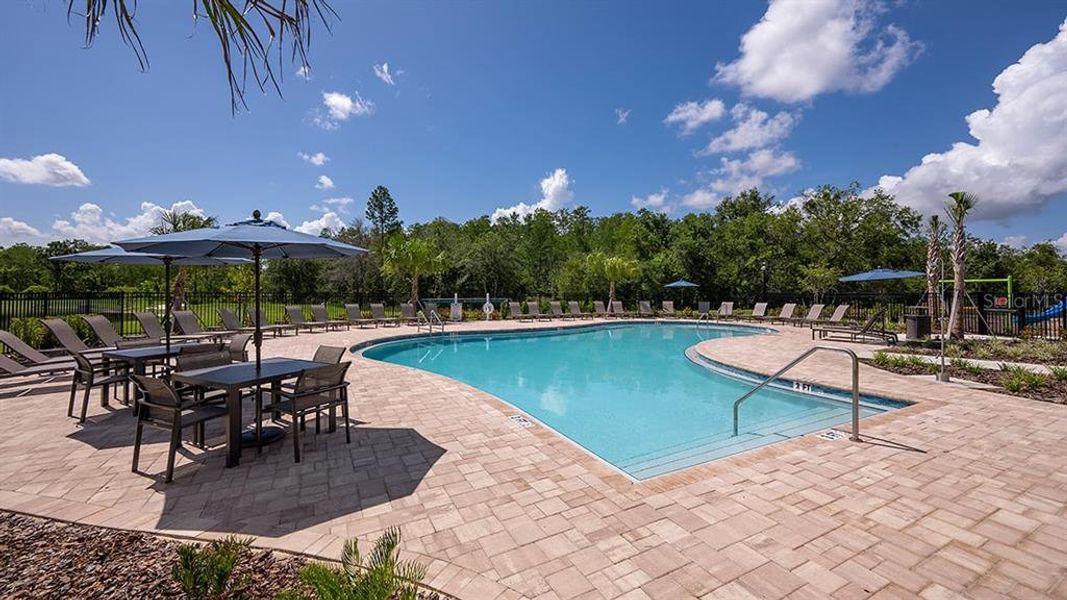 Community amenities in Firethorn, Parrish (Image 20). Community amenities in Firethorn, Parrish (Image 20).