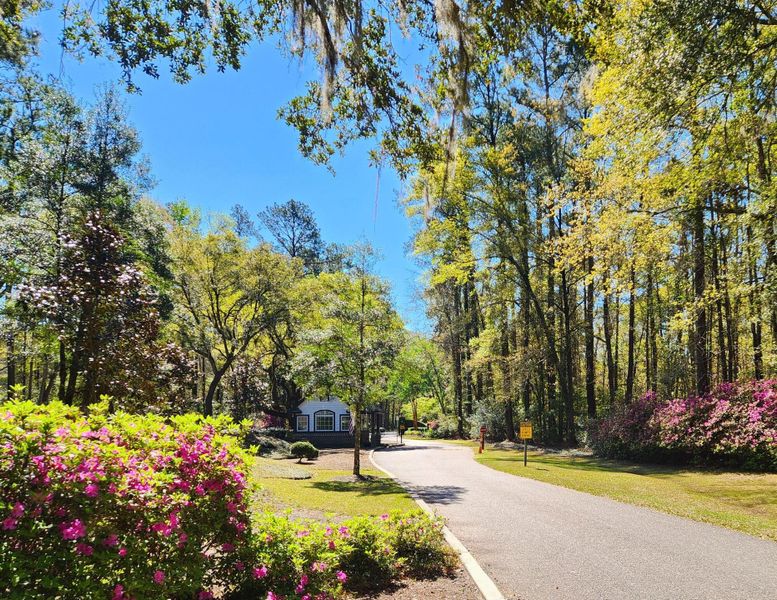 Natural landscape and outdoor views near  in Seabrook (Image 80).