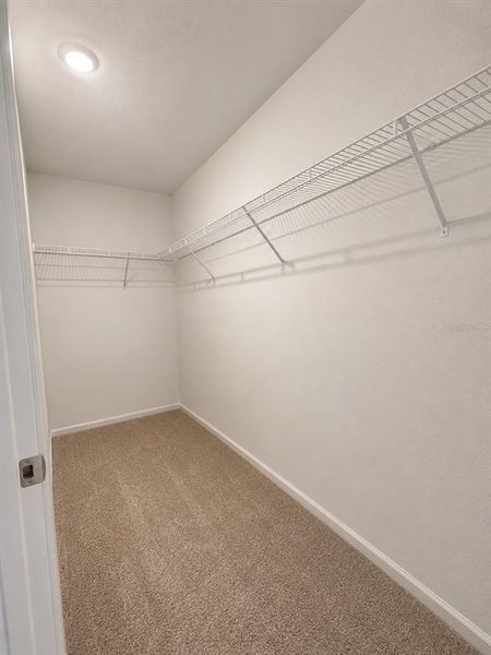 Spacious, unfurnished interior of a new home in , Palm Coast (Image 19).