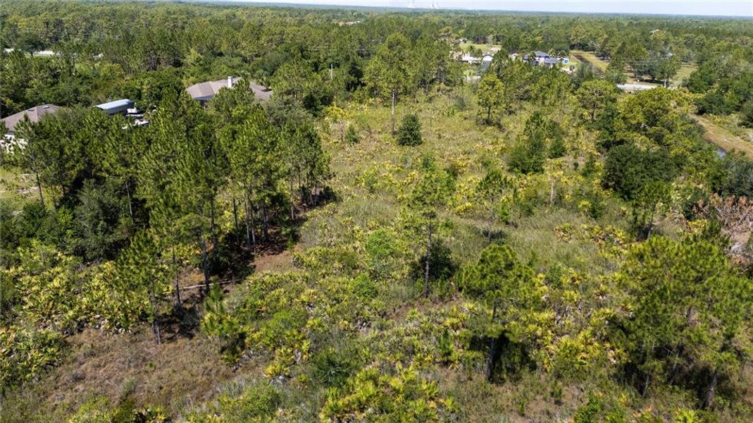 Natural landscape and outdoor views near  in Orlando (Image 6).