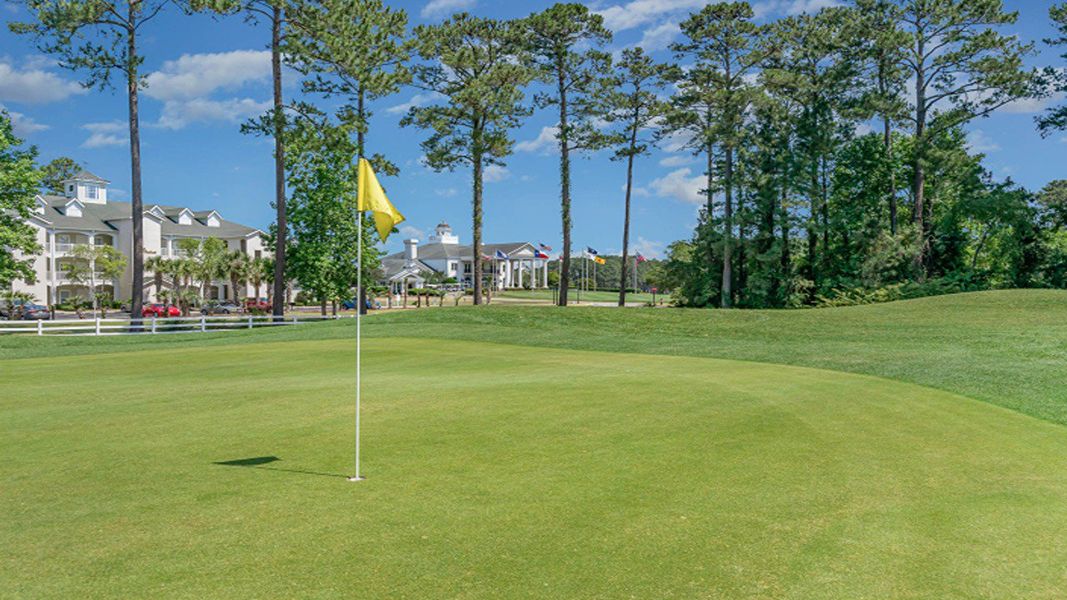 Natural landscape and outdoor views near The Reserve at Wild Horse in Conway (Image 13). Natural landscape and outdoor views near The Reserve at Wild Horse in Conway (Image 13).