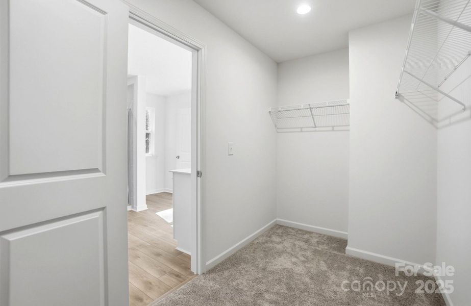 Spacious, unfurnished interior of a new home in Bellina, York (Image 35).