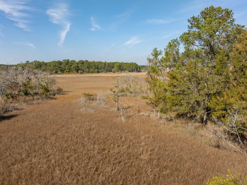 Natural landscape and outdoor views near Daniel Island Park in Charleston (Image 67).