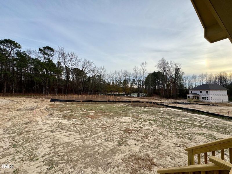 Backyard Pond View