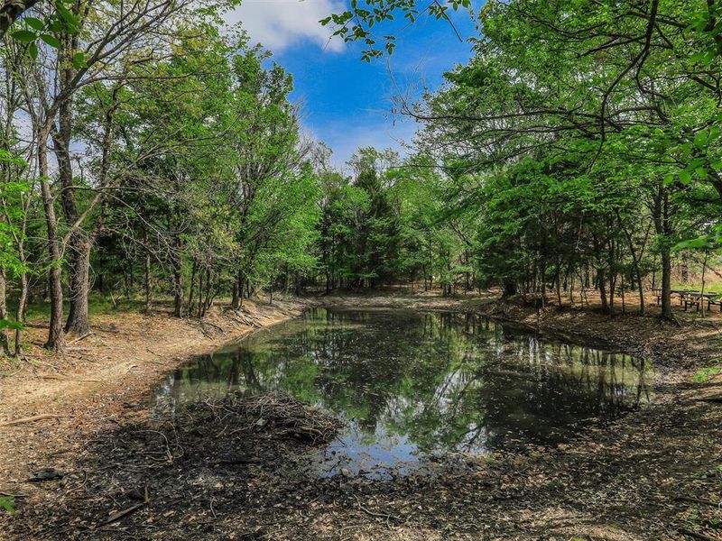 Natural landscape and outdoor views near  in Azle (Image 29).