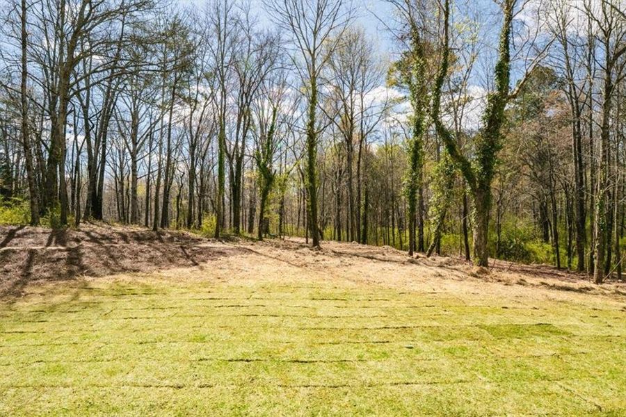 Natural landscape and outdoor views near  in Murrayville (Image 51).