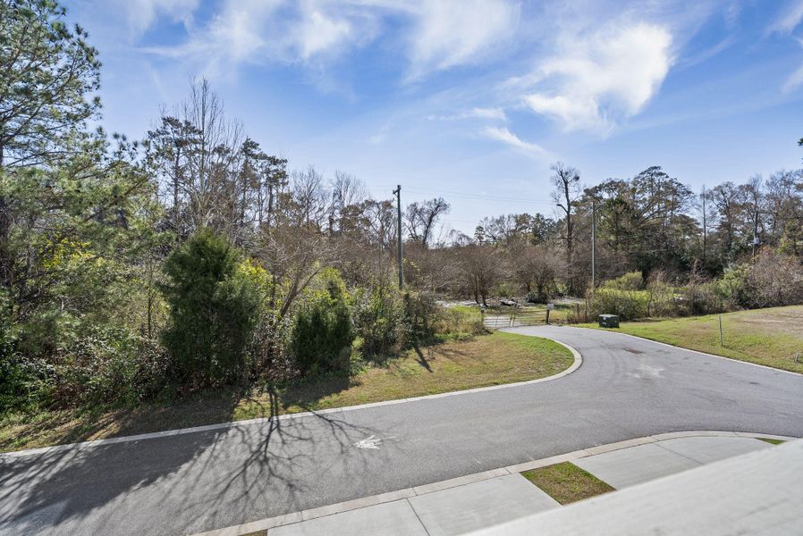 Natural landscape and outdoor views near  in Summerville (Image 48).