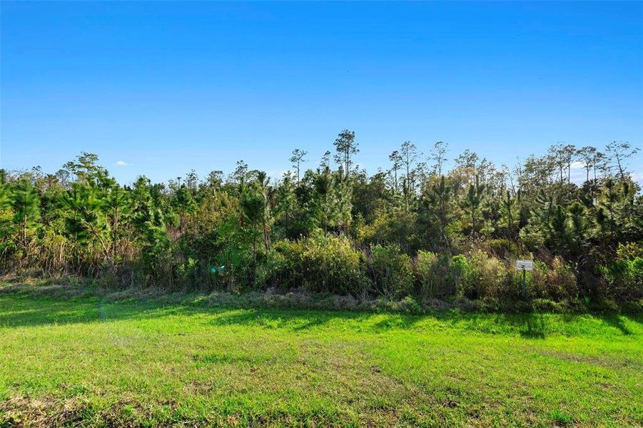 The serene reserve behind the home enhances the peaceful, quiet atmosphere of the backyard, creating a tranquil and private retreat.