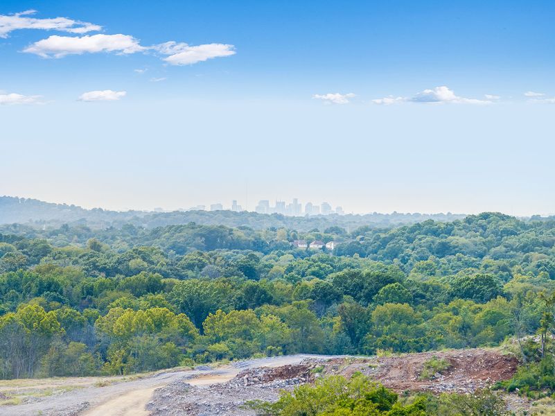 A landscape with trees and a city in the background. A landscape with trees and a city in the background.