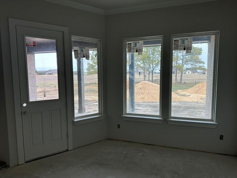 Entryway with plenty of natural light and ornamental molding