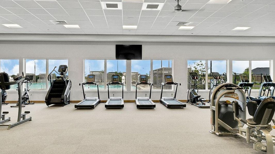 *Images and 3D tour are for illustration only and options may vary from home as built.