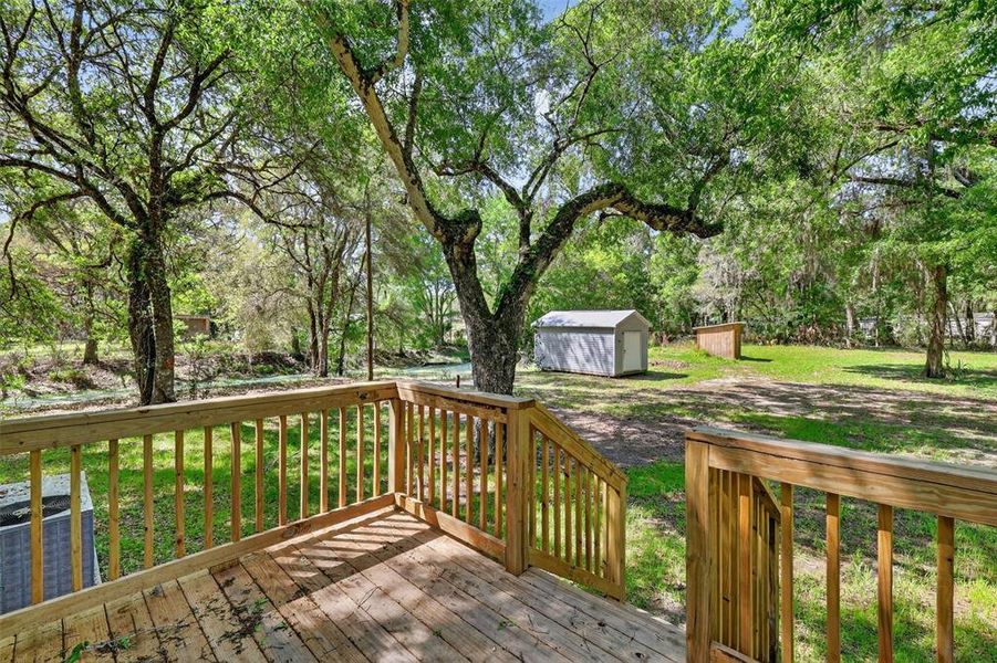 Natural landscape and outdoor views near  in Bushnell (Image 21).