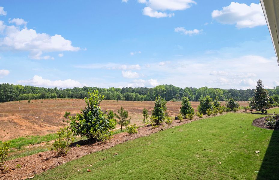Outdoor and nature views near homes built from the Medina by Pulte Homes in Overland, Locust Grove (Image 34).