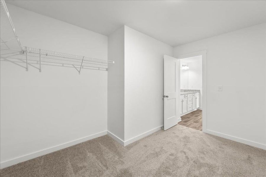 Spacious, unfurnished interior of a new home in , Statham (Image 30).