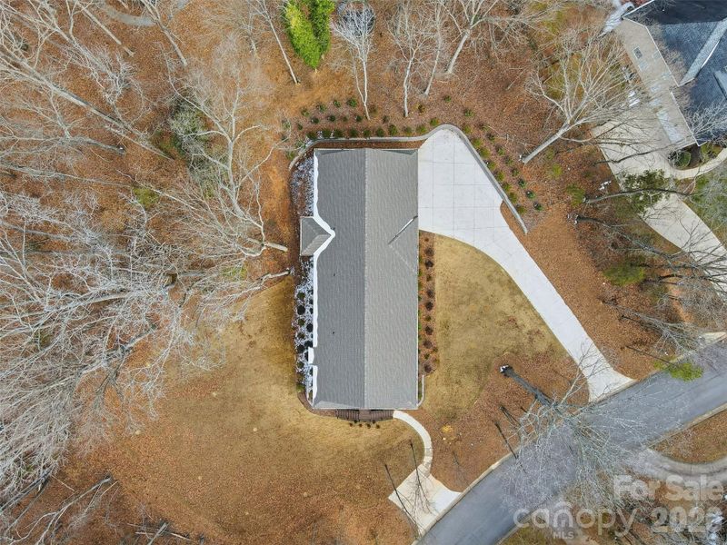 Site preparation for new homesites in , Rock Hill (Image 43).