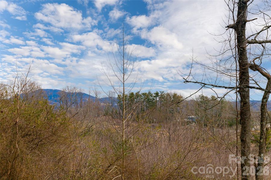 Seasonal Mountain Views