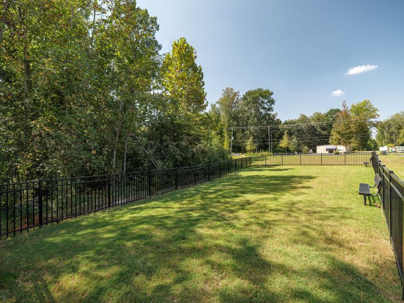 Natural landscape and outdoor views near Village at Reedy Creek Townhomes in Charlotte (Image 24).