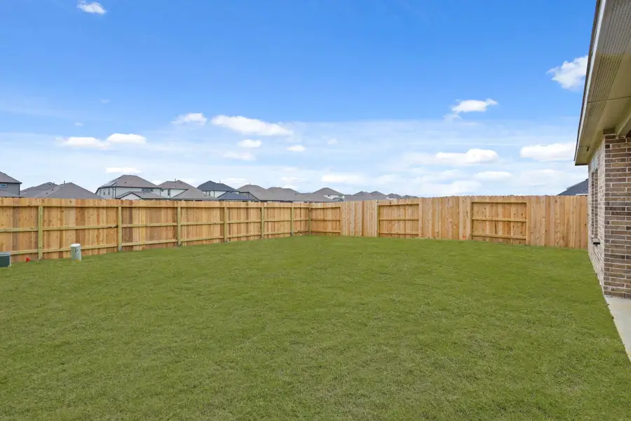 Great Back Yard! Great Back Yard!