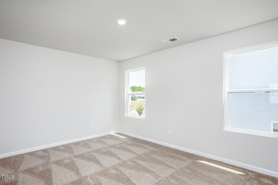 Southeast_Birch_L_018