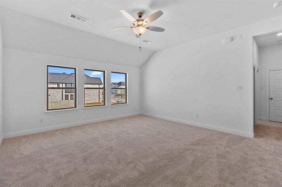 DAL_Painted Tree_Kilgore IV_3928 Attwater Street (28)