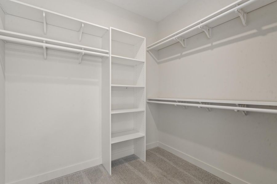 Integrated shelving unit, multiple hanging rods, wall-mounted shelving, neutral wall color, carpeted flooring Integrated shelving unit, multiple hanging rods, wall-mounted shelving, neutral wall color, carpeted flooring