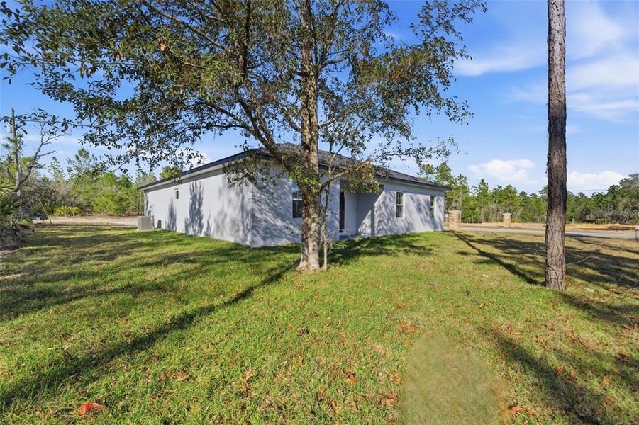 Natural landscape and outdoor views near  in Dunnellon (Image 32).