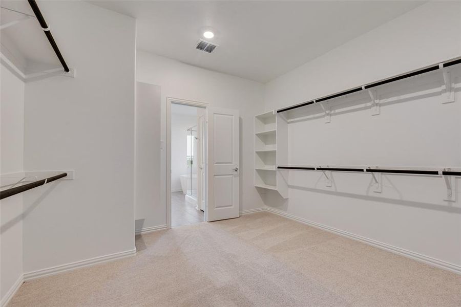 Spacious closet with light colored carpet