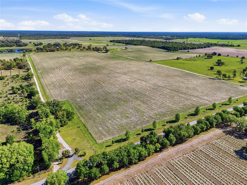 Site preparation for new homesites in , Bronson (Image 57).