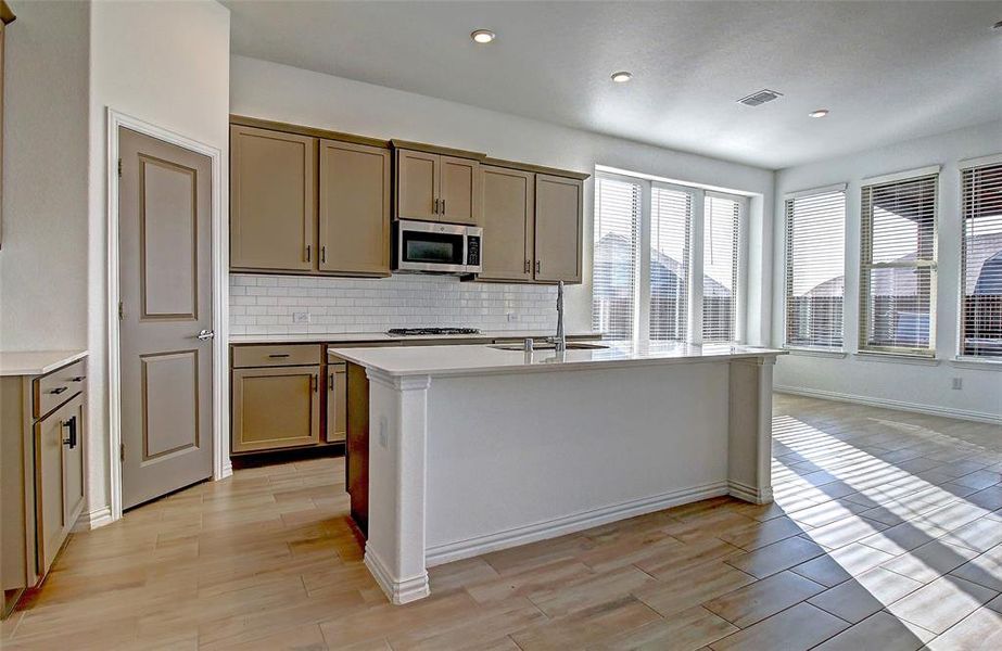 Walkin pantry, large oversized island with soft close cabinets.