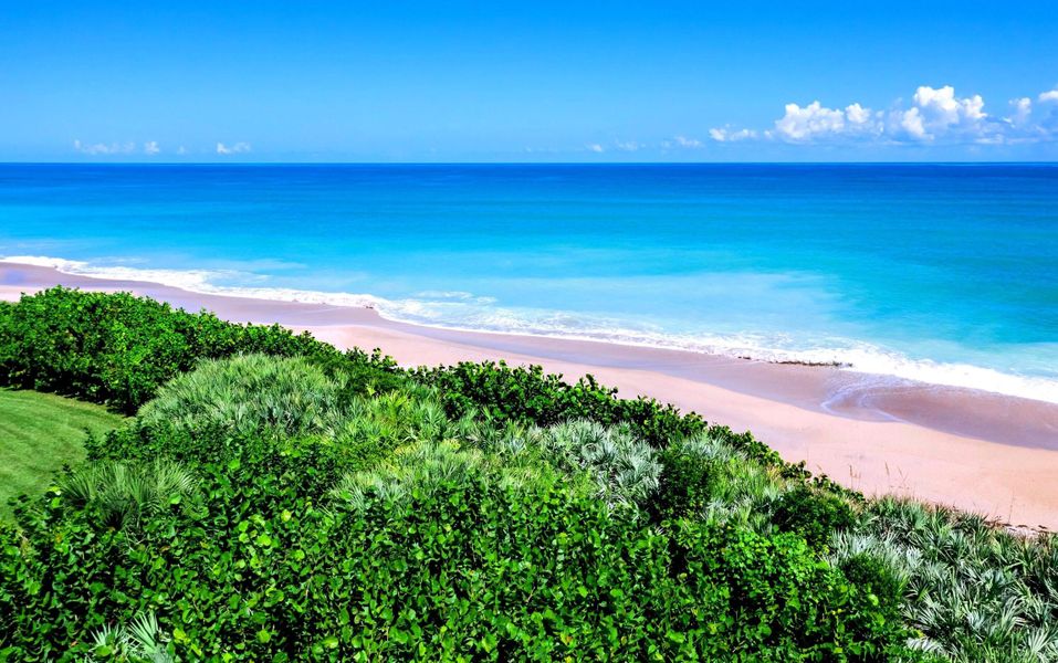 Ocean View Ocean View