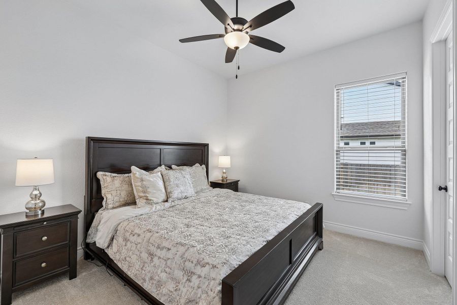 Carpeted room featuring a ceiling fan with light fixture, a window with blinds, and a white paneled door
