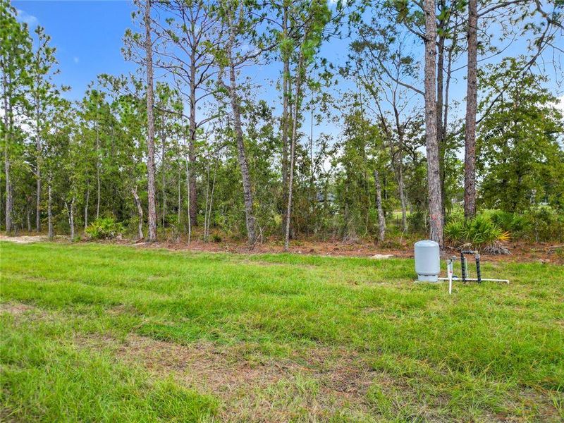 Natural landscape and outdoor views near  in Brooksville (Image 41).