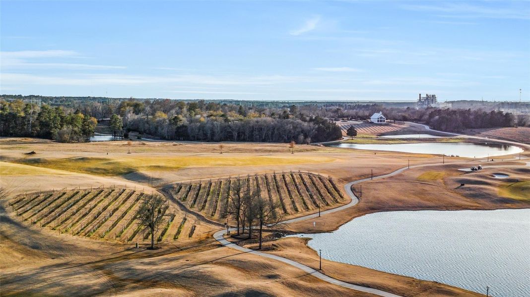Site preparation for new homesites in Chambers Creek, Willis (Image 33).