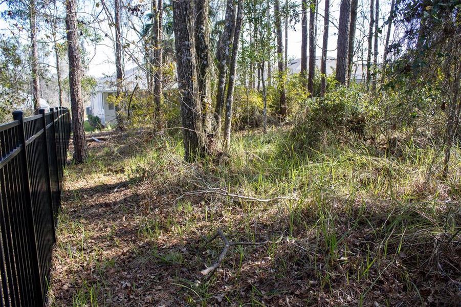 Natural landscape and outdoor views near  in Brooksville (Image 51).