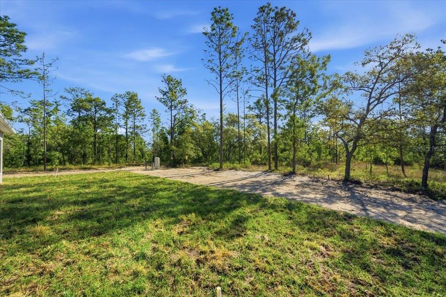 Natural landscape and outdoor views near  in Weeki Wachee (Image 22).