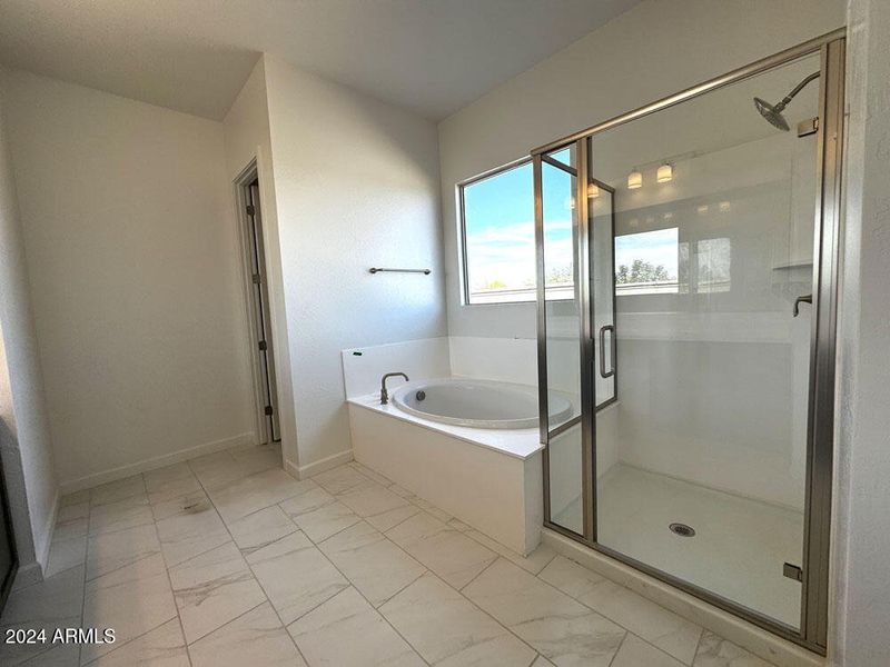 41 - Walk in Shower and soaking tub