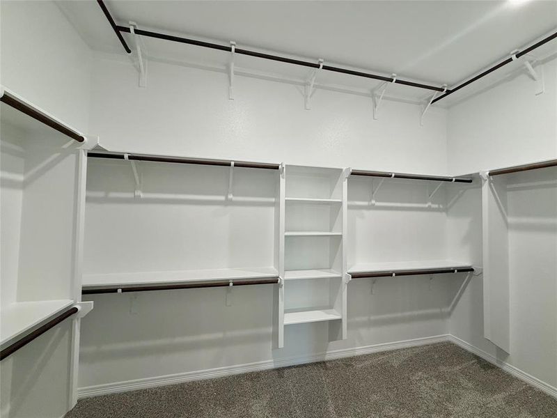 Spacious closet with carpet flooring