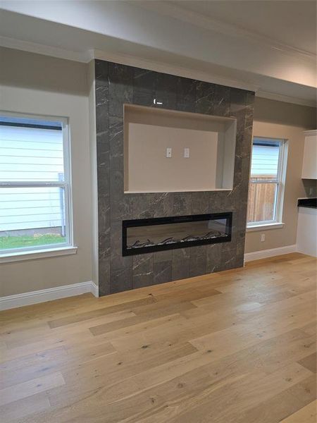 Details with ornamental molding, hardwood / wood-style flooring, and a fireplace