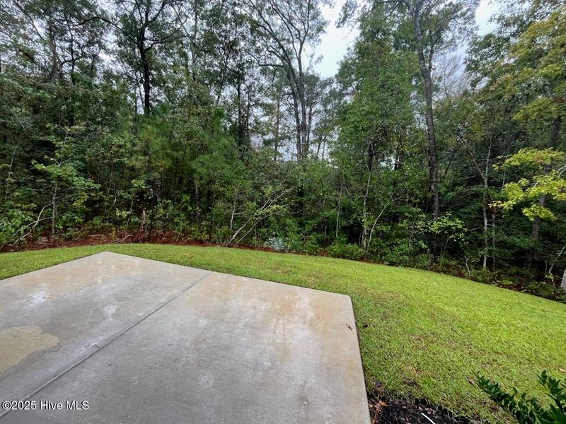 Natural landscape and outdoor views near Palmetto Creek in Bolivia (Image 28).