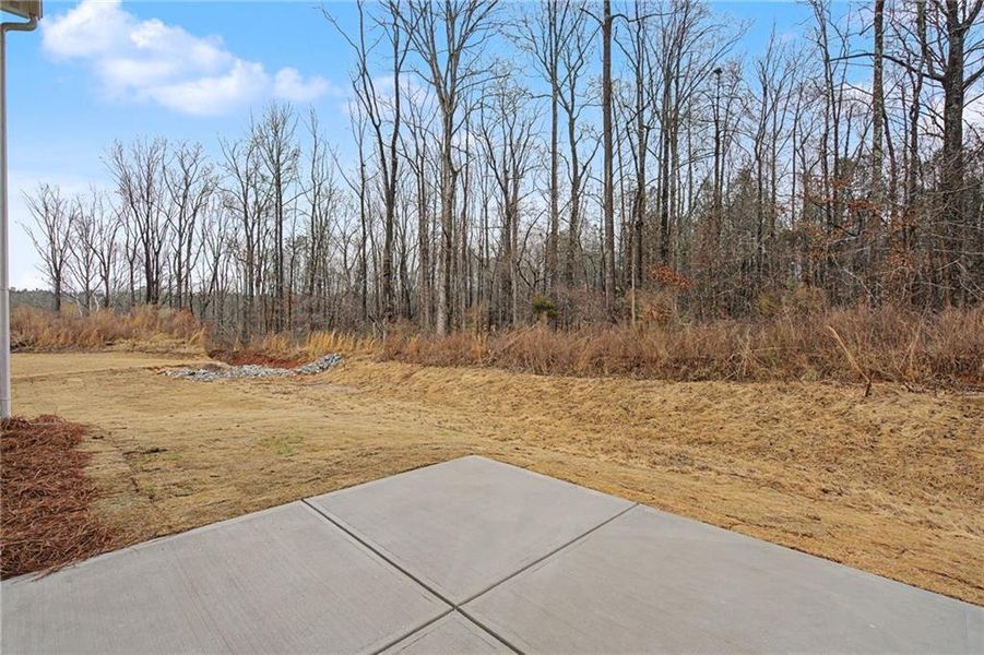 Natural landscape and outdoor views near Crossvine Estates in Braselton (Image 41).