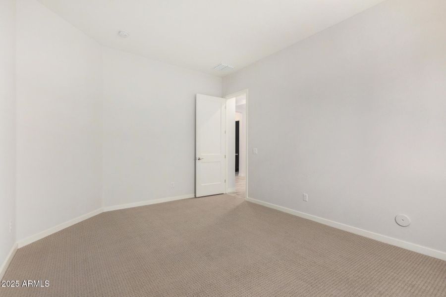 26 - Royal Palm 26 - Royal Palm