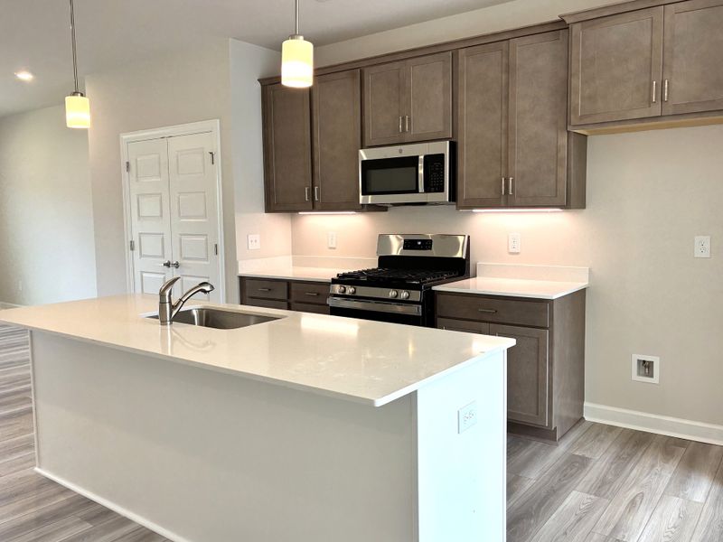 Furnished interior view inside a new home in Holly View, Greenville (Image 7).