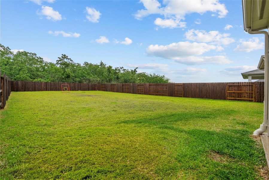 Large backyard with no neighbors!
