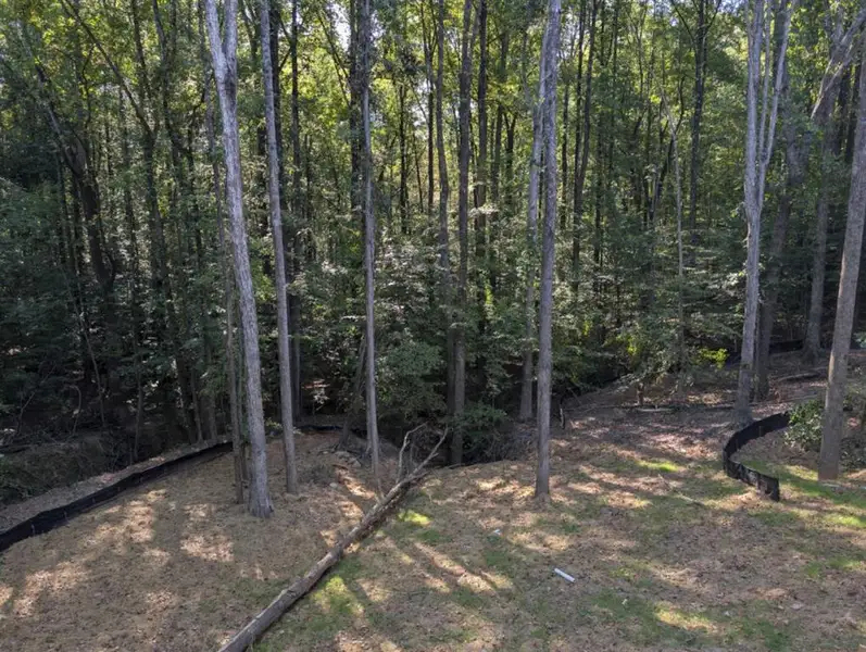Natural landscape and outdoor views near  in Gainesville (Image 4).