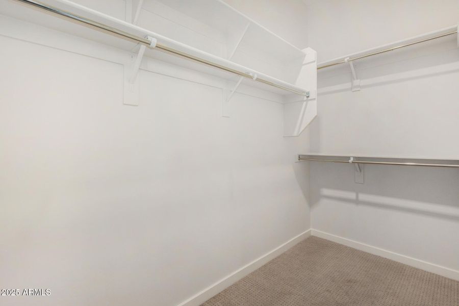 28 - Royal Palm 28 - Royal Palm