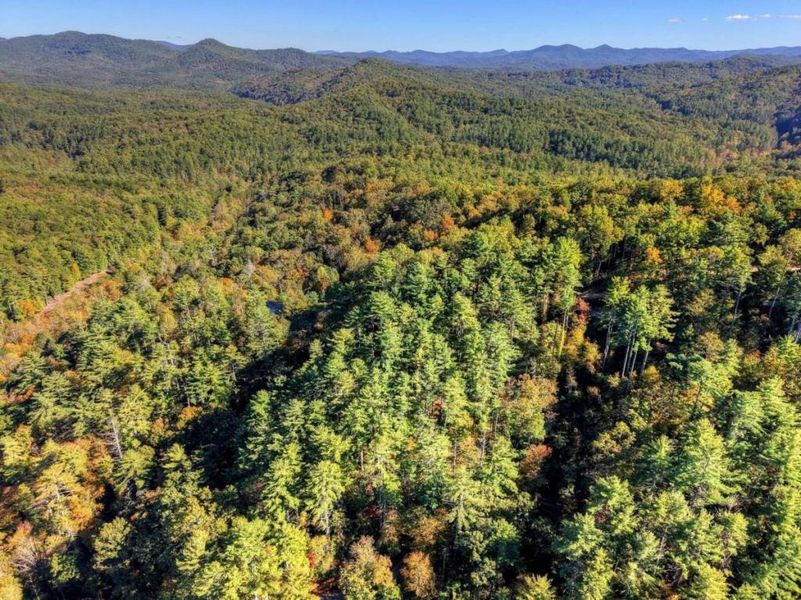Natural landscape and outdoor views near  in Blue Ridge (Image 5).