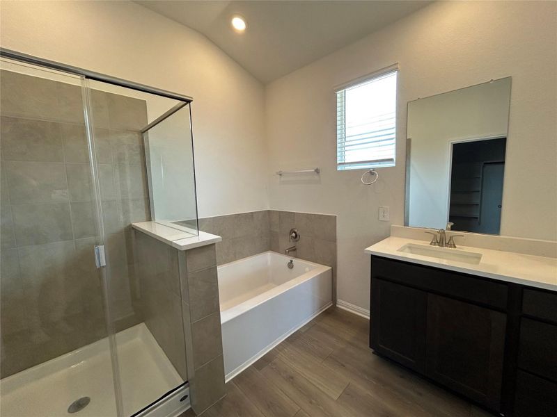 Bathroom featuring a bath, a shower stall, vanity, dark wood finished floors, and recessed lighting Bathroom featuring a bath, a shower stall, vanity, dark wood finished floors, and recessed lighting