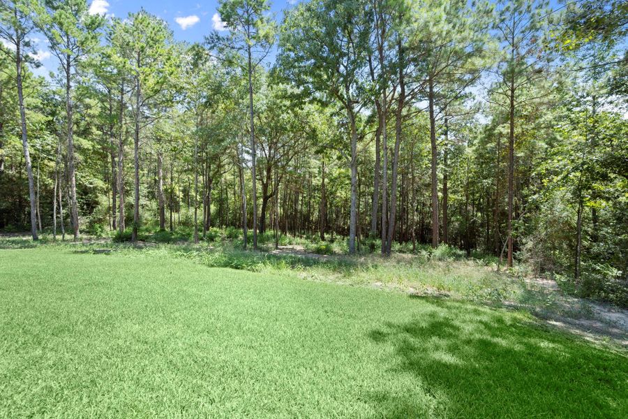 Natural landscape and outdoor views near  in Huntsville (Image 40).