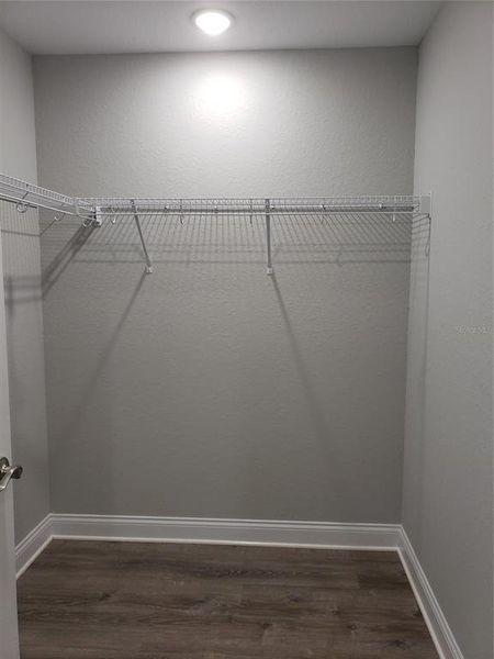 Primary walk in closet